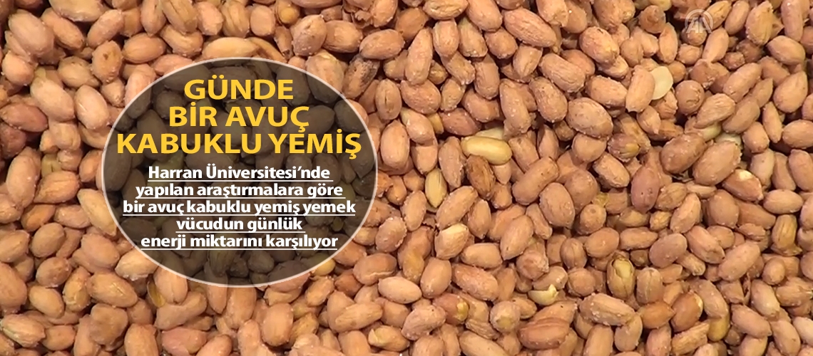 Günde bir avuç kabuklu yemiş