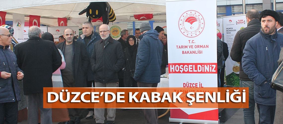 Düzce’de kabak şenliği