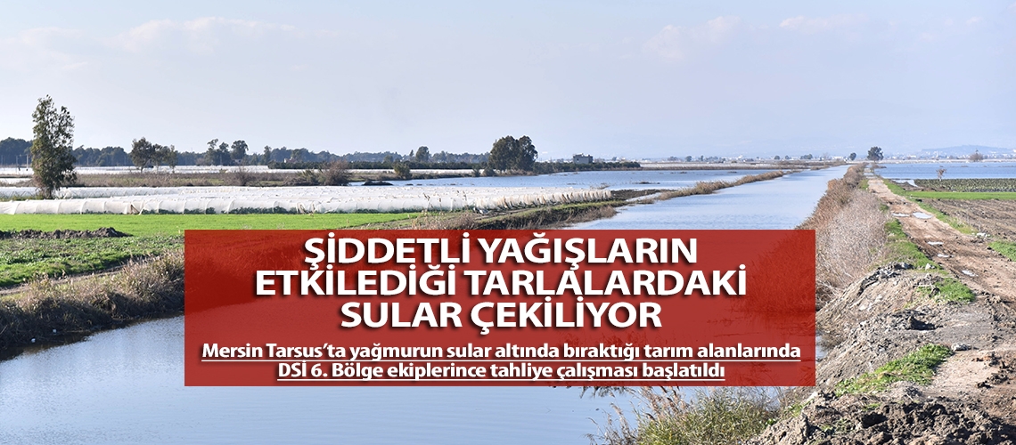 Şiddetli yağışların etkilediği tarlalardaki sular çekiliyor