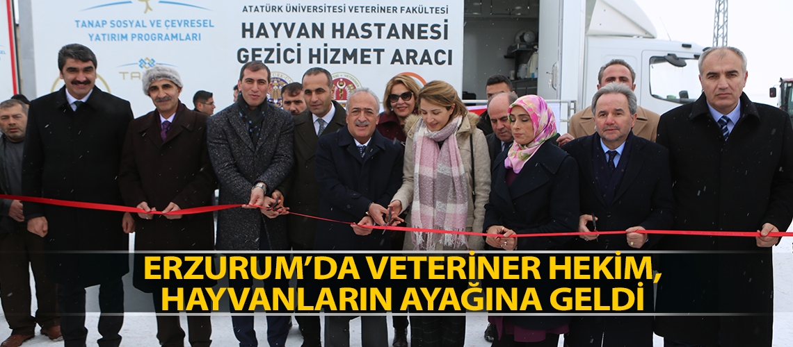 Erzurum’da veteriner hekim, hayvanların ayağına geldi