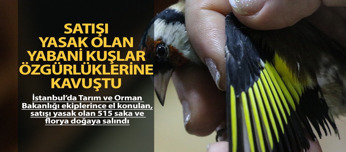 Satışı yasak olan yabani kuşlar özgürlüklerine kavuştu