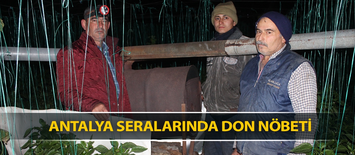 Antalya seralarında don nöbeti