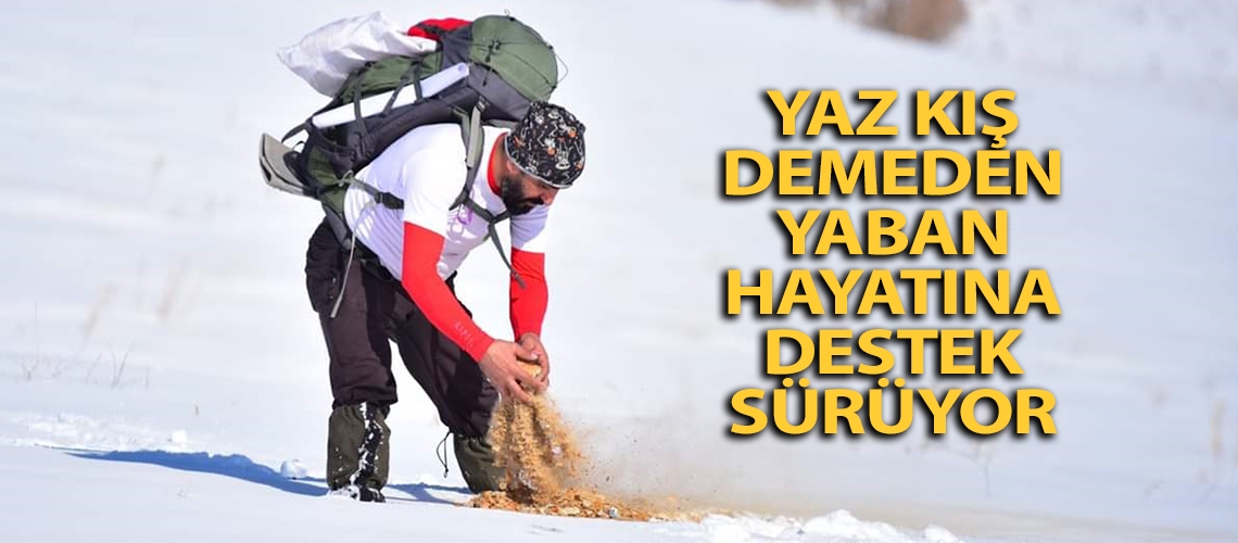 Yaz kış demeden yaban hayatına destek sürüyor