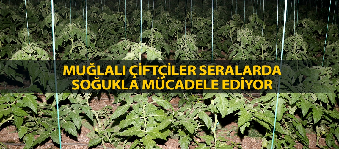 Muğlalı çiftçiler seralarda soğukla mücadele ediyor