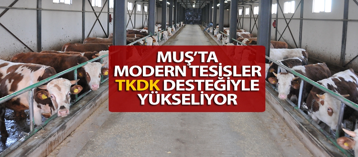 Muş’ta modern tesisler TKDK desteğiyle yükseliyor