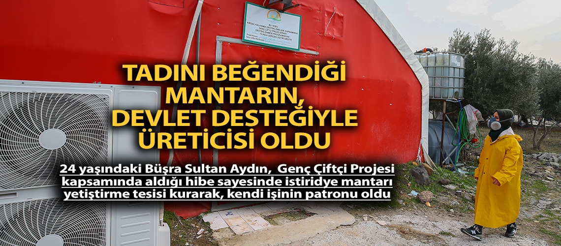 Tadını beğendiği mantarın, devlet desteğiyle üreticisi oldu