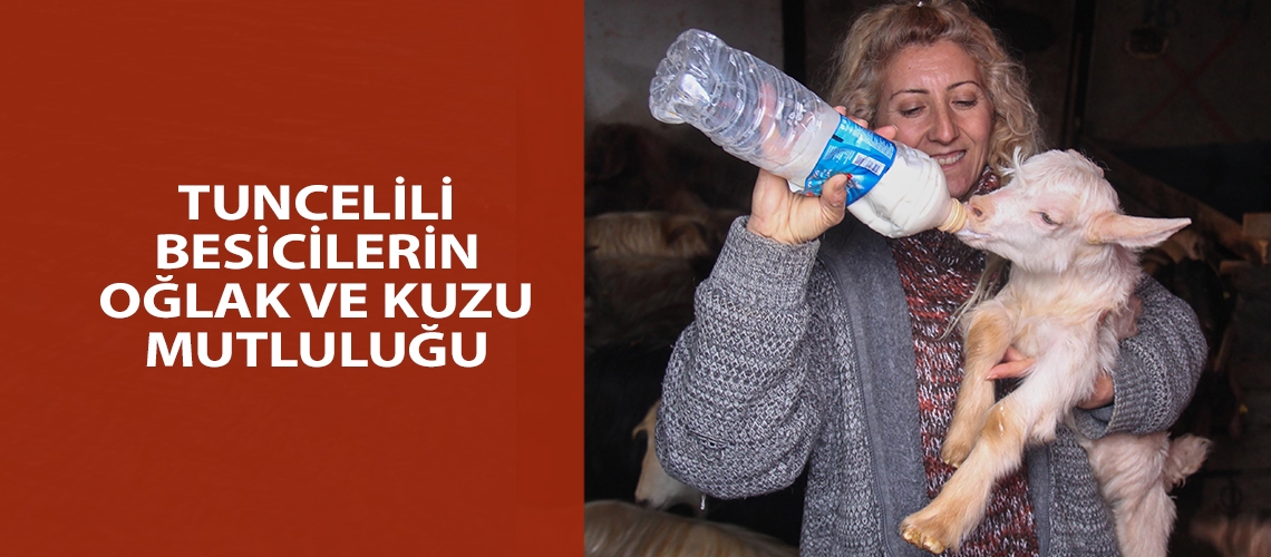 Tuncelili besicilerin oğlak ve kuzu mutluluğu