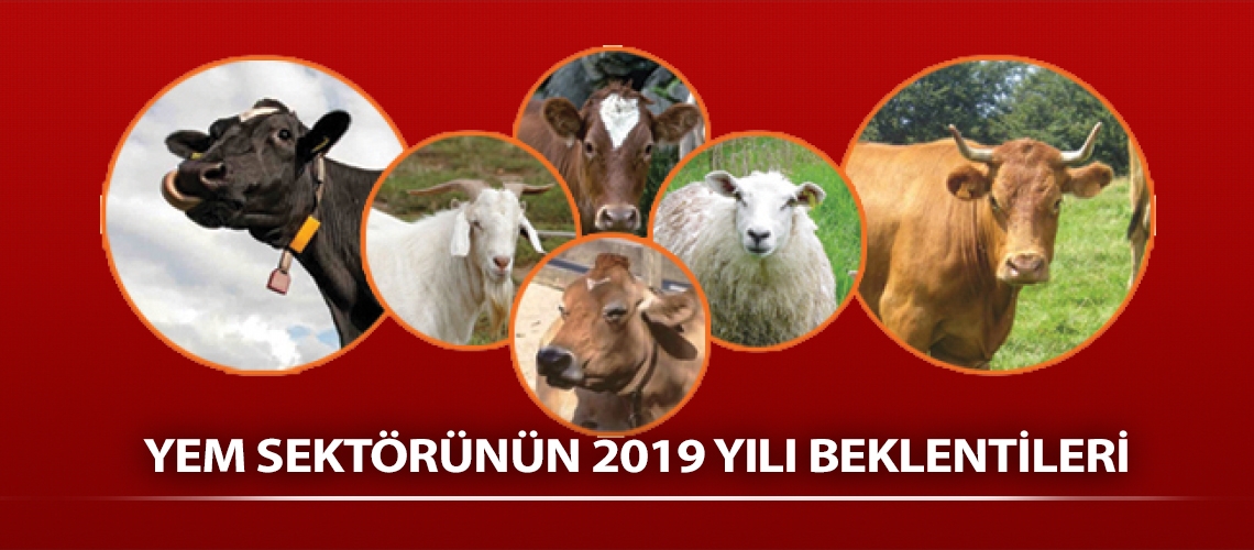 Yem sektörünün 2019 yılı beklentileri