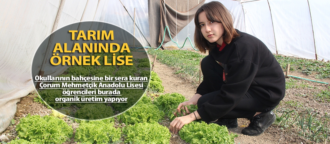 Tarım alanında örnek lise