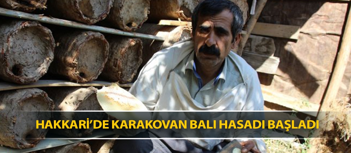 Hakkari’de karakovan balı hasadı başladı