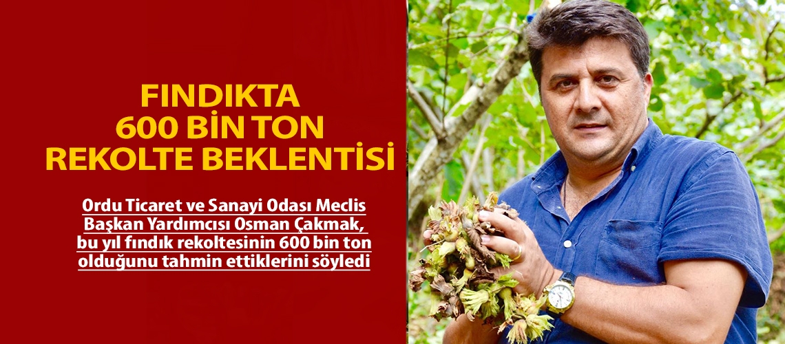 Fındıkta 600 bin ton rekolte beklentisi