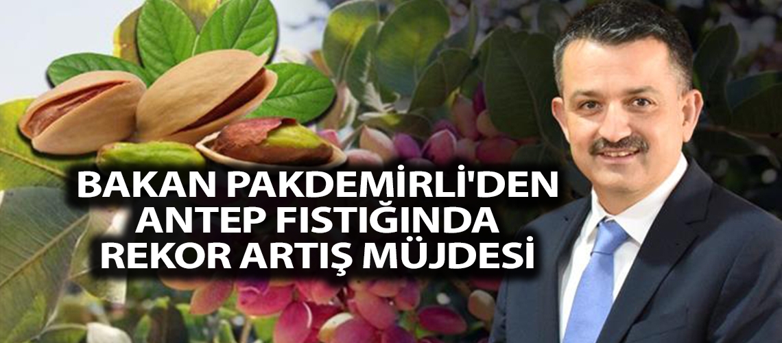Bakan Pakdemirli'den Antep fıstığında rekor artış müjdesi