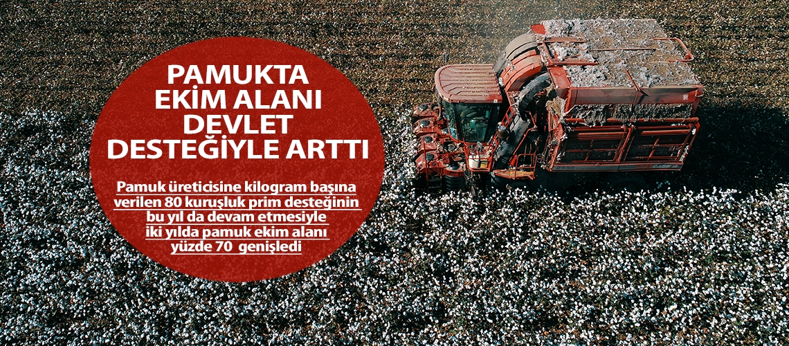 Pamukta ekim alanı devlet desteğiyle arttı