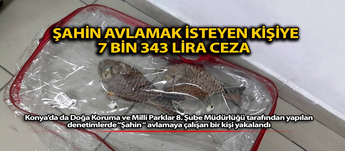 Şahin avlamak isteyen kişiye 7 bin 343 lira ceza