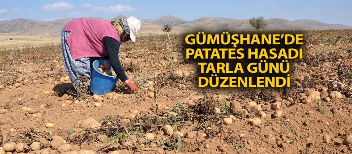 Gümüşhane’de patates hasadı tarla günü düzenlendi