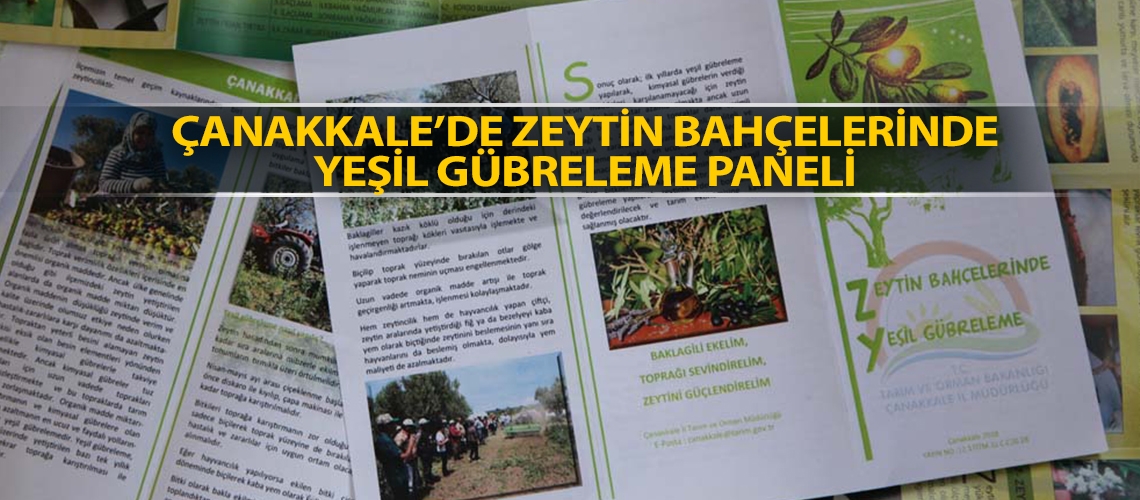 Çanakkale’de zeytin bahçelerinde yeşil gübreleme paneli