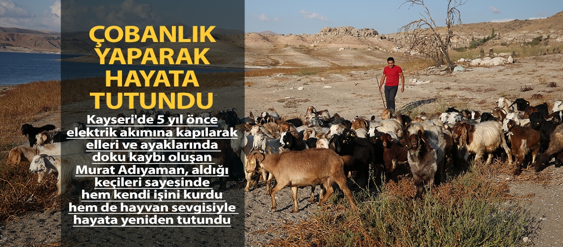 Çobanlık yaparak hayata tutundu