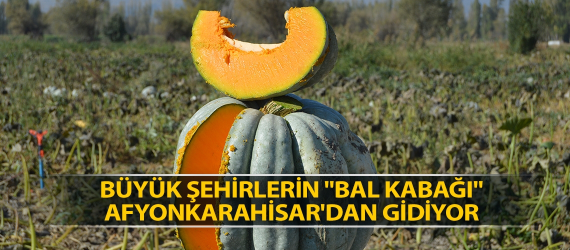 Büyük şehirlerin 