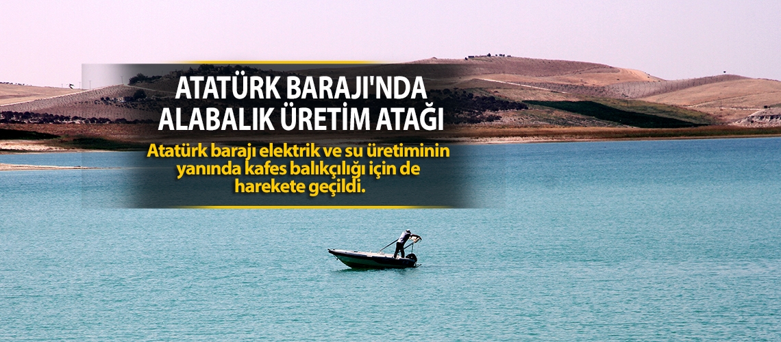 Atatürk Barajı'nda alabalık üretim atağı