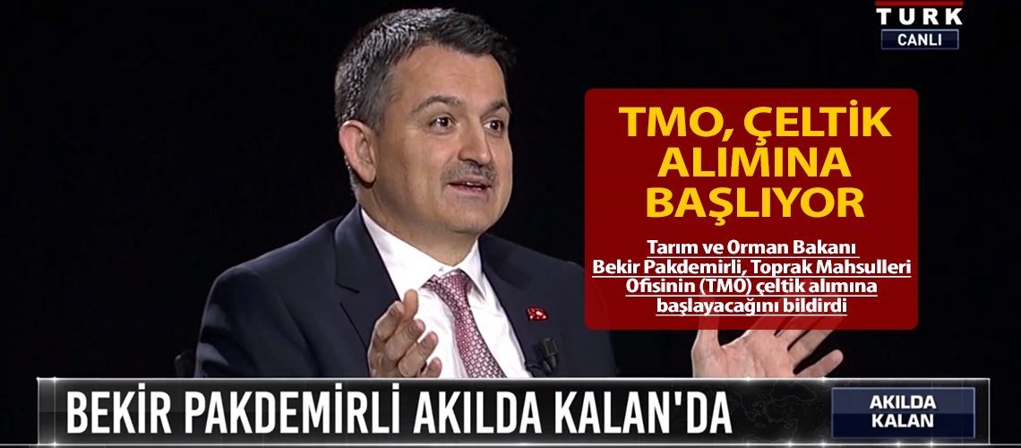 TMO, çeltik alımına başlıyor