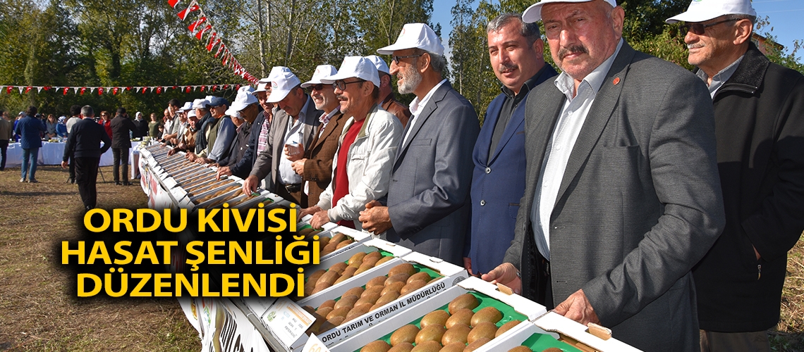 “Ordu kivisi hasat şenliği” düzenlendi