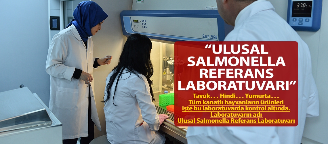 “Ulusal Salmonella Referans Laboratuvarı”