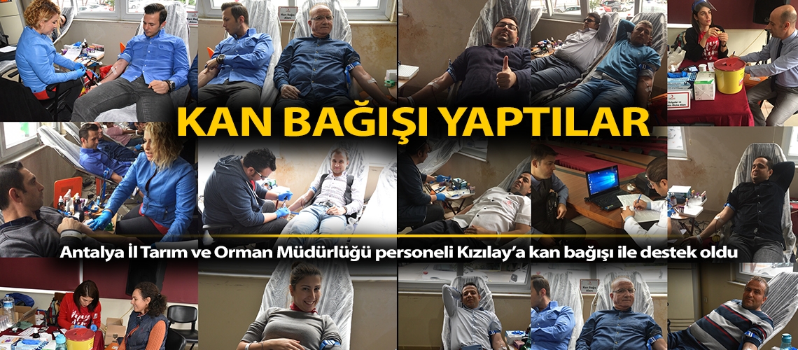 Antalya İl Müdürlüğü personeli kan bağışı yaptı