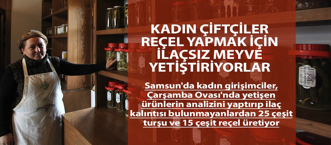 Kadın çiftçiler reçel yapmak için ilaçsız meyve yetiştiriyorlar