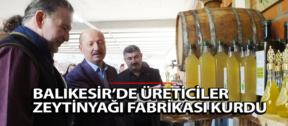 Balıkesir’de üreticiler zeytinyağı fabrikası kurdu