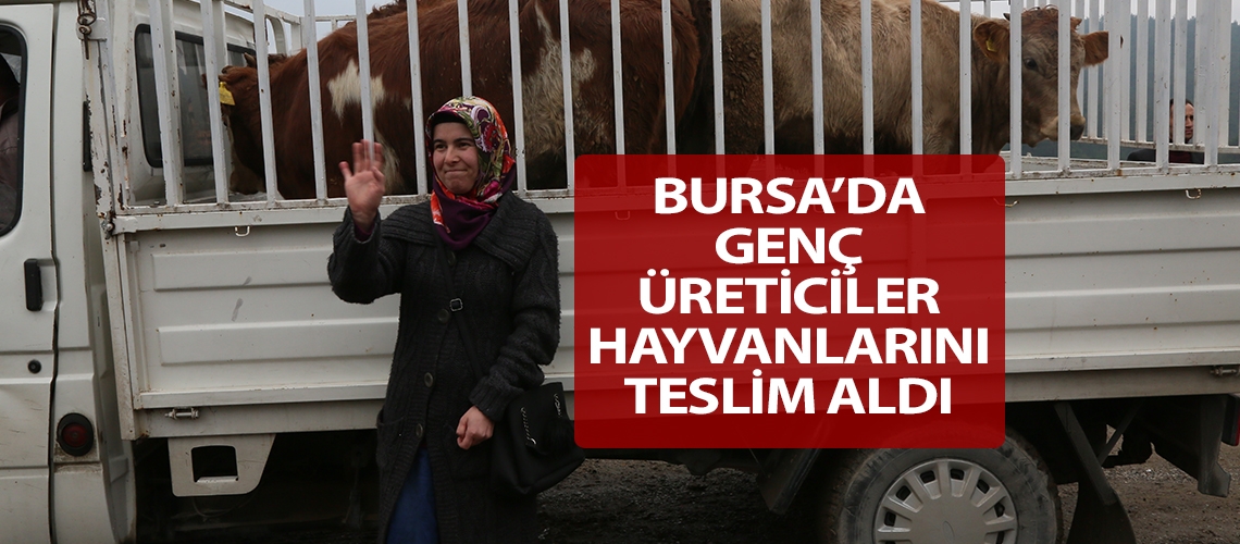 Bursa’da genç üreticiler hayvanlarını teslim aldı