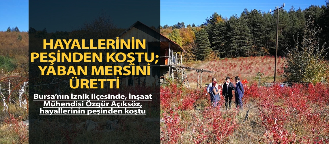 Hayallerinin peşinden koştu; yaban mersini üretti