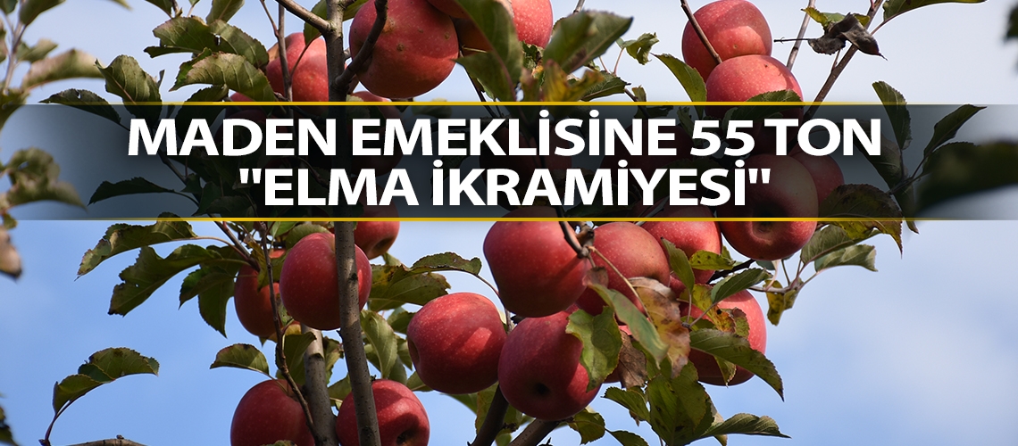 Maden emeklisine 55 ton 