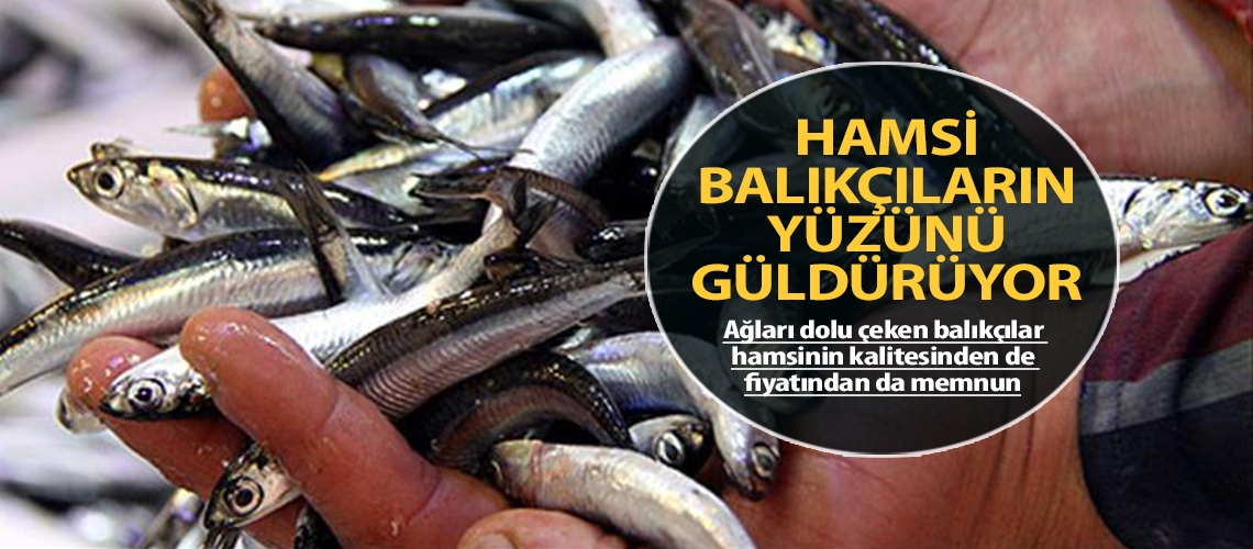 Hamsi balıkçıların yüzünü güldürüyor