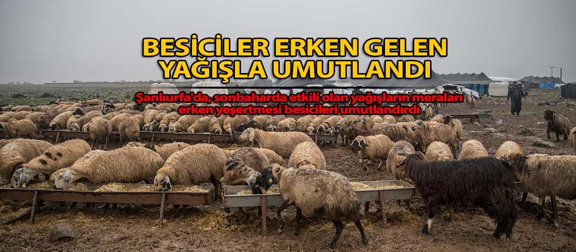 Besiciler erken gelen yağışla umutlandı