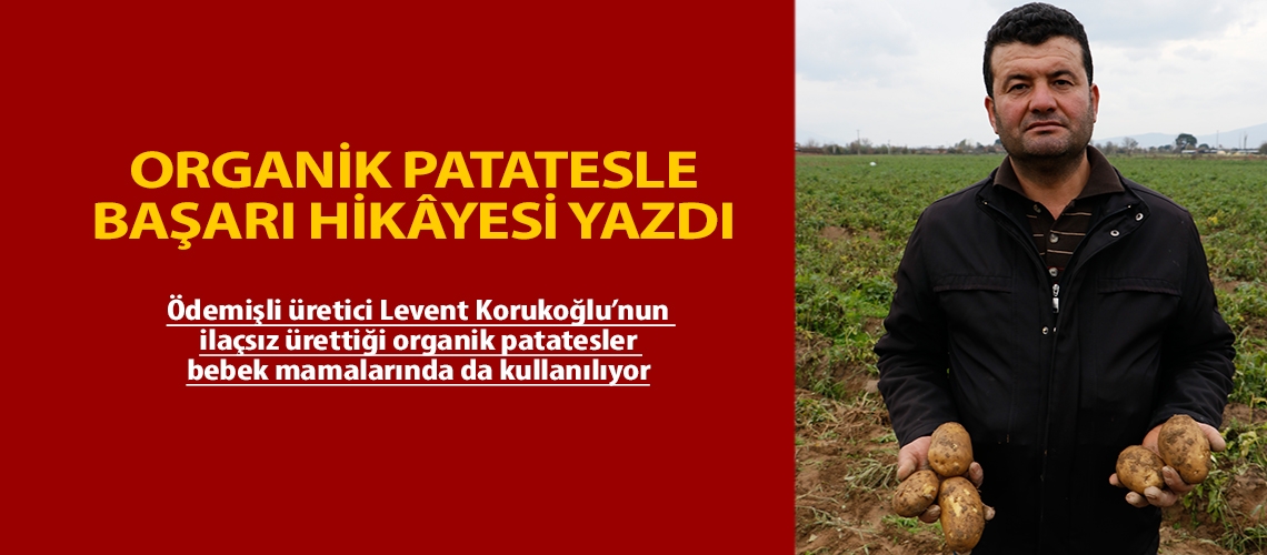 Organik patatesle başarı hikâyesi yazdı