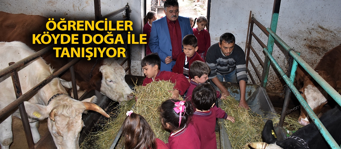 Öğrenciler köyde doğa ile tanışıyor