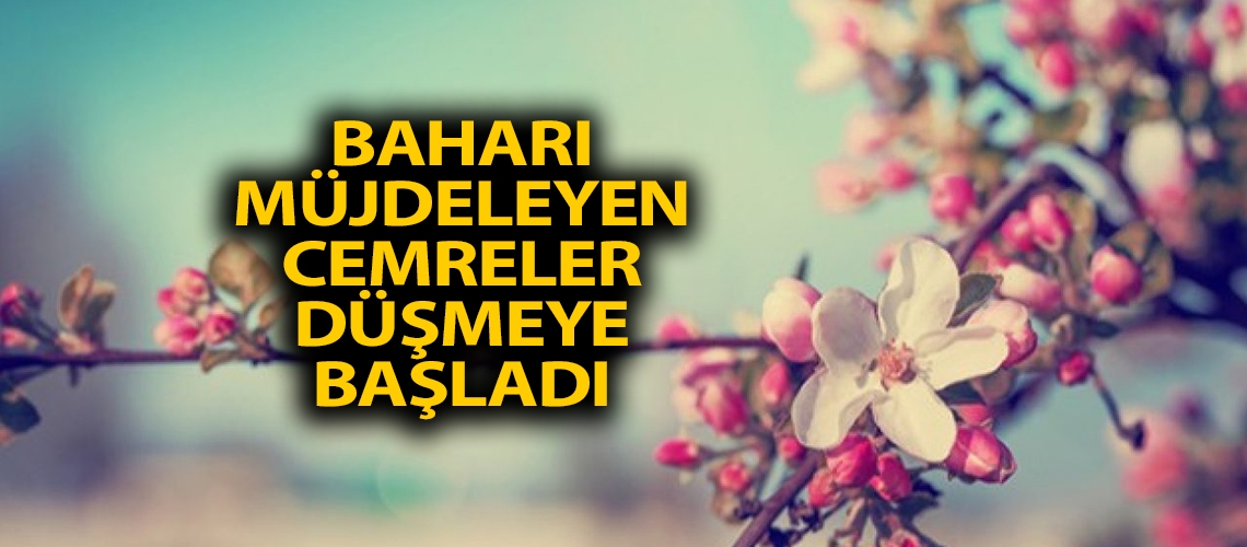 Baharı müjdeleyen cemreler düşmeye başladı