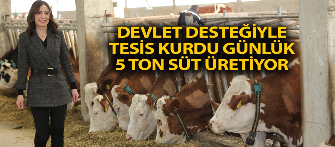 Devlet desteğiyle tesis kurdu günlük 5 ton süt üretiyor