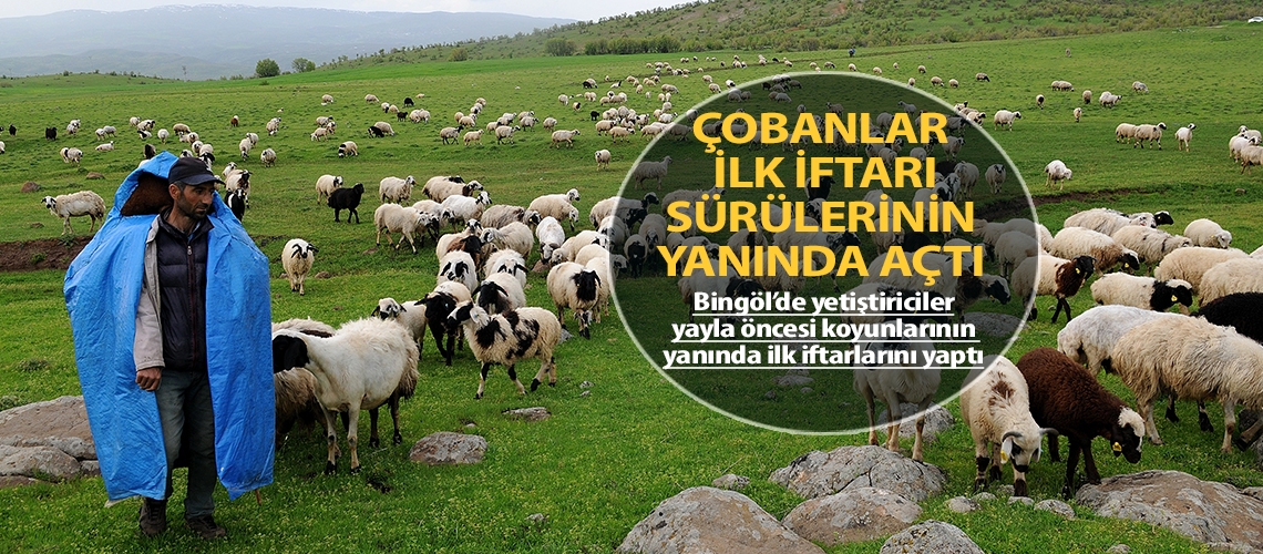 Çobanlar ilk iftarı sürülerinin yanında açtı