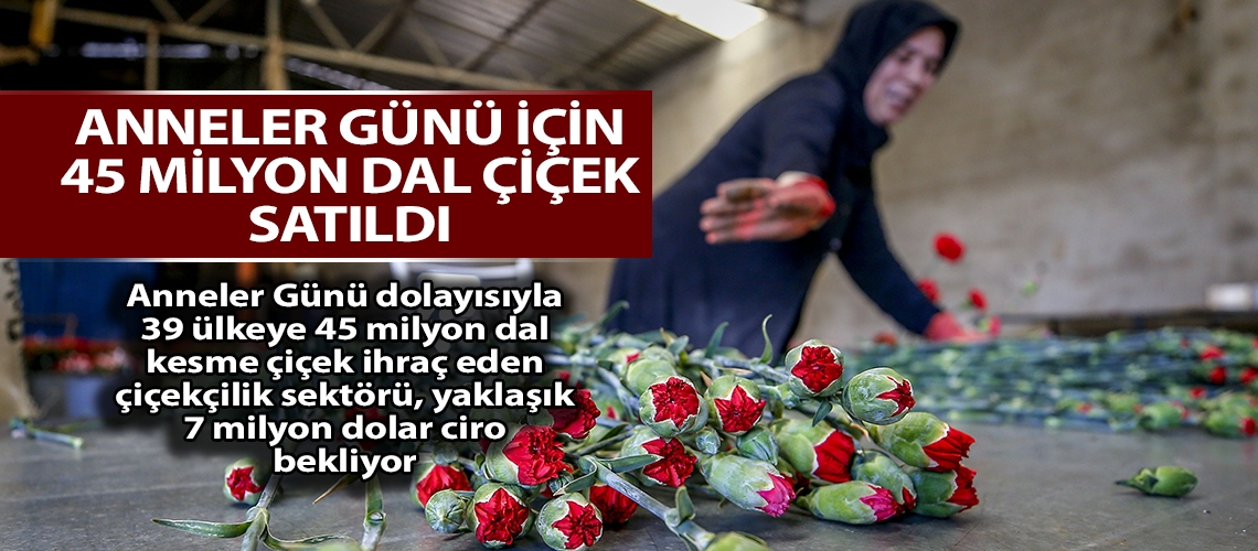 Anneler Günü için 45 milyon dal çiçek satıldı