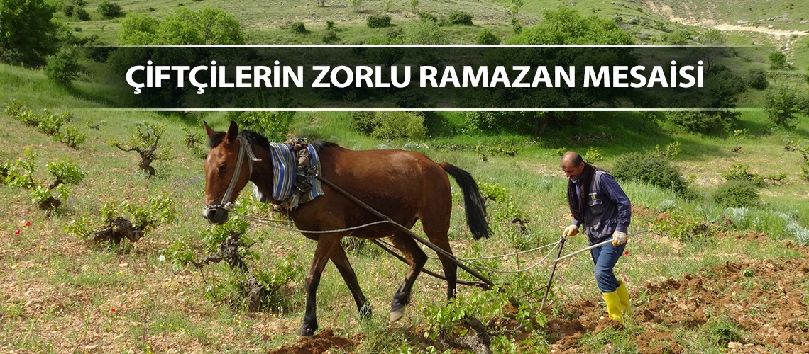 Çiftçilerin zorlu ramazan mesaisi