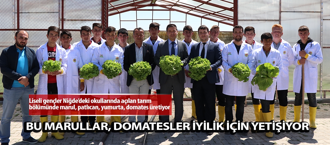 Bu marullar, domatesler iyilik için yetişiyor