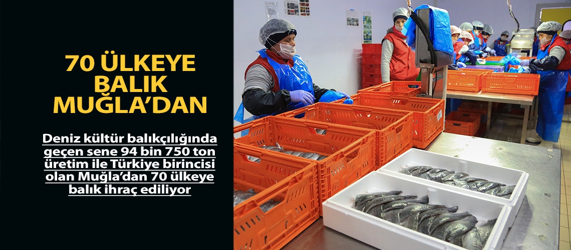 70 ülkeye balık Muğla’dan