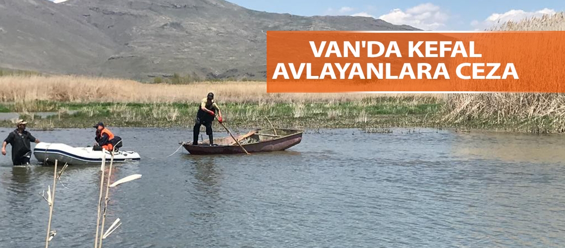 Van'da kefal avlayanlara ceza