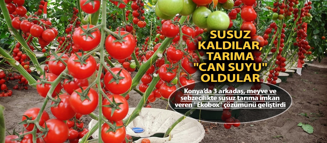 Susuz kaldılar, tarıma 