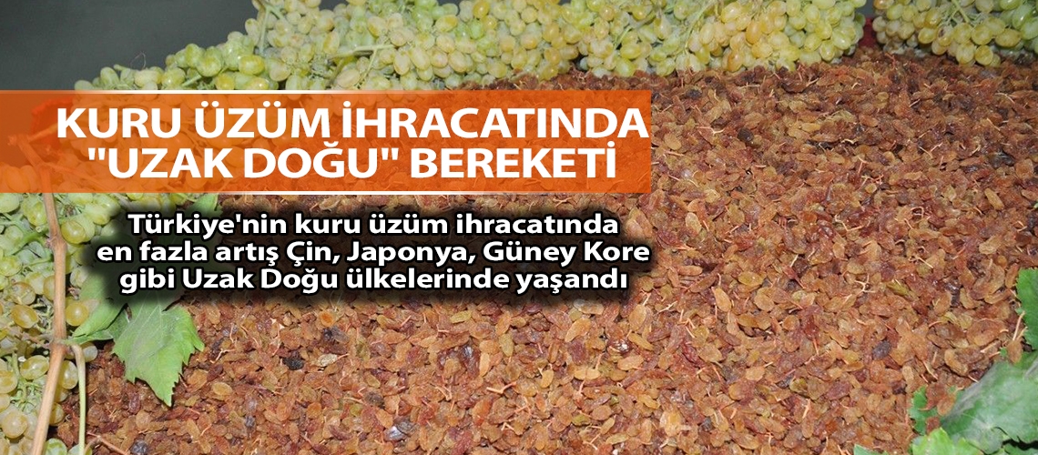 Kuru üzüm ihracatında 