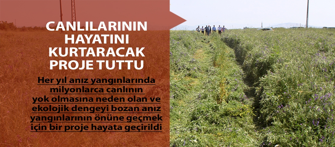 Canlılarının hayatını kurtaracak proje tuttu