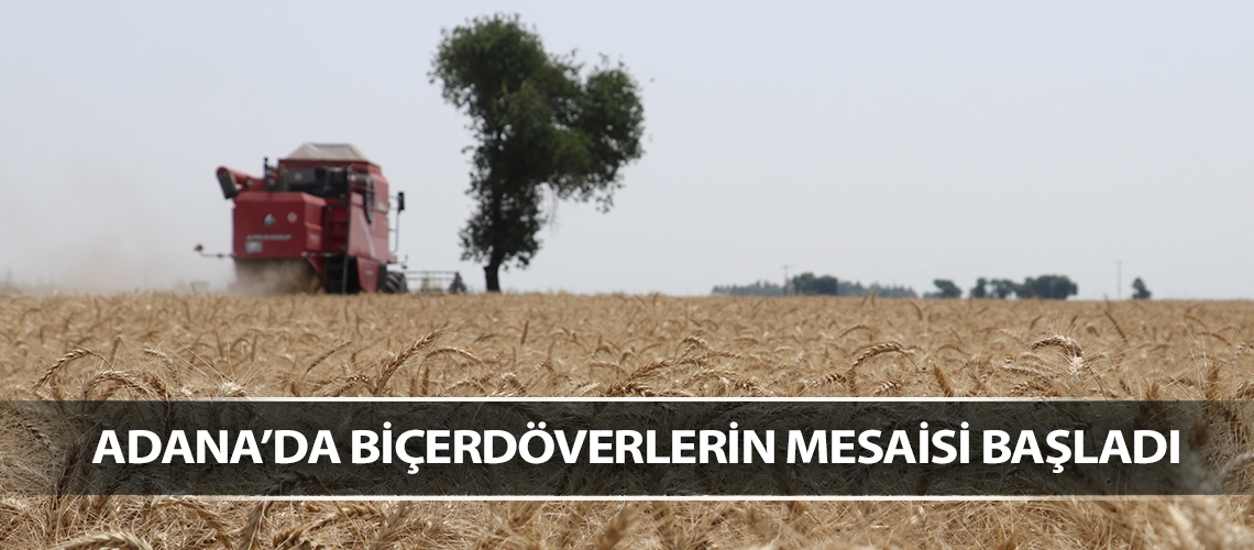 Adana’da biçerdöverlerin mesaisi başladı