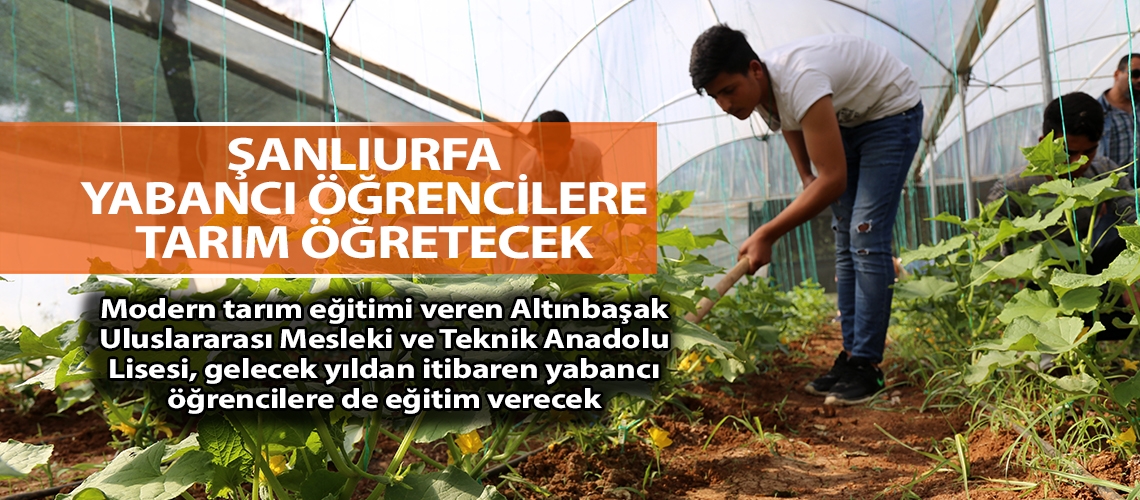 Şanlıurfa yabancı öğrencilere tarım öğretecek