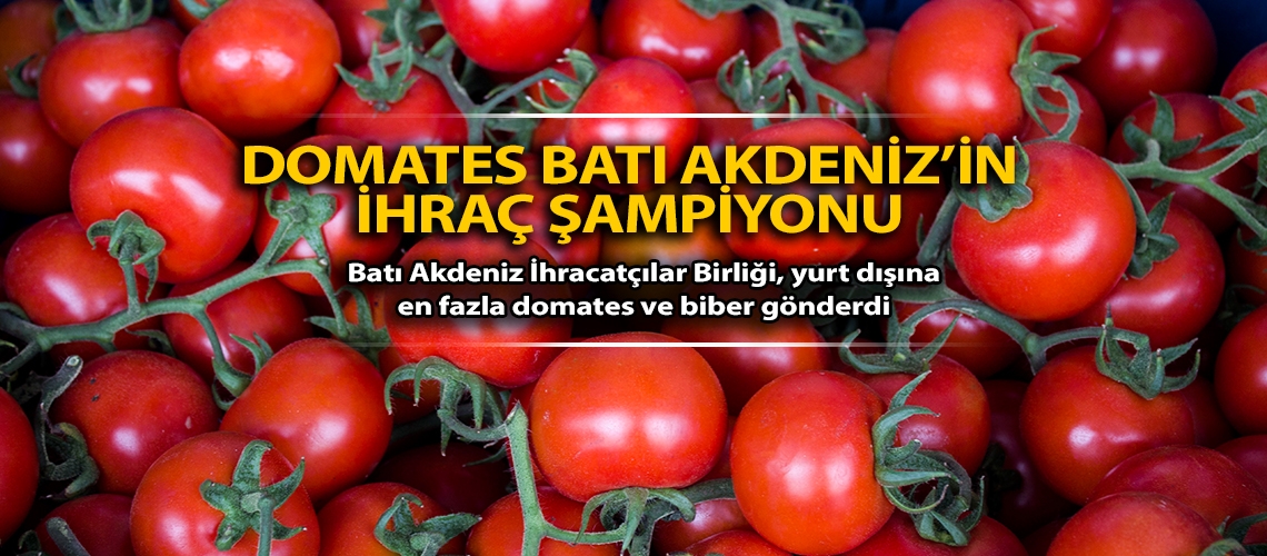 Domates Batı Akdeniz’in ihraç şampiyonu